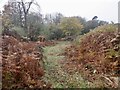 Path above Ballsgate Common