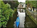 Mill tailrace, Totnes