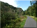 NCN492 in woodland near Gallowsgreen