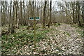 Footpath sign, Crowhurst Wood