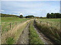 Track towards Cavers Knowes