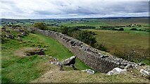 NY6766 : Hadrian's Wall at Walltown Crags by Sandy Gerrard
