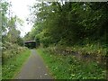 Plasycoed Road bridge over NCN492