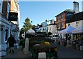 Market Day in Alton (b)
