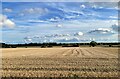 TL5970 : Farmland south of Wicken Road by ad acta