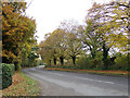 TM3255 : B1078 Ash Road, Campsea Ashe by Geographer