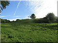 Grass field near Sludge Hall Farm