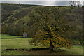 SK0957 : Swainsley Dovecote and Tree, Manifold Way by Brian Deegan