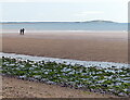 NO4002 : Walkers on the beach at Largo Bay by Mat Fascione