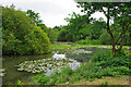 Gatwick Lake, Riverside Garden Park, Horley