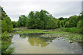 Gatwick Lake, Riverside Garden Park, Horley