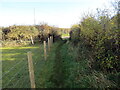 Llwybr yn cyrraedd yr heol / Path approaching the road