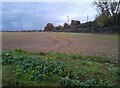 Field by Wych Elm Lane, Woolmer Green