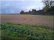 TL2518 : Field by Wych Elm Lane, Woolmer Green by David Howard