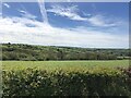 Field and hills north of Alltwallis