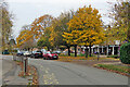 Wulfstan Way: shops and autumn leaves