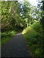 Shared path in Sirhowy Valley Country Park