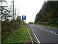 A68 beside School Wood