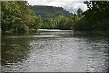 NN9159 : River Tummel and Loch Faskally by N Chadwick