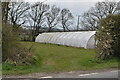 Polytunnel