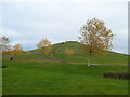 Artificial mound at Northala Fields