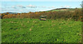 SX8377 : Trailer in field near Little Bovey by Derek Harper