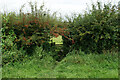 SD5927 : Path through the hedge by Bill Boaden