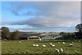 Outbuildings at Flagg Moor Farm