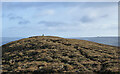 NY9935 : Heathery summit ridge of Catterick by Trevor Littlewood