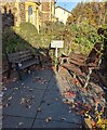 Fallen leaves near benches, Maryport Street, Usk