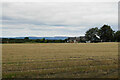 SD6027 : Harvested field by Beeston Manor by Bill Boaden
