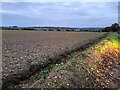 Field by Wych Elm Lane, Woolmer Green