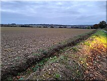 TL2419 : Field by Wych Elm Lane, Woolmer Green by David Howard