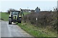 Hedge Trimming