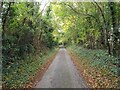 Green Lane, through Dell Wood, Hadzor