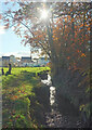 Stream, Longston Cross