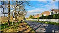 Riverside houses on Mill Road