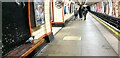 Pigeon on Seat, Bounds Green Station