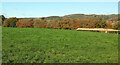 Field near Challabrook Farm