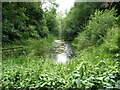 The last remaining stretch of the Ketley Canal