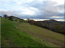 SO7641 : Black Hill and British Camp in the Malvern Hills by Chris Allen