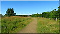 Path over landscaped former colliery site west of Mansfield Woodhouse Station