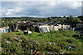 The top end of Highfield Allotments