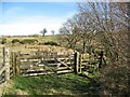 NY2433 : Gate and Stile on The Cumbria Way by Adrian Taylor