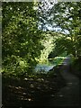 Monmouthshire and Brecon Canal, north of Five Locks