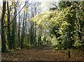 Oare Gunpowder Works Country Park, Faversham