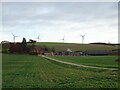 Crop field and track towards Syke House Farm