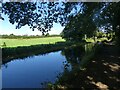 Monmouthshire and Brecon Canal and field south of Croes-y-pant