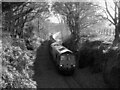 Coal train in Bedlinog