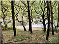 Disused reservoir at Snailbeach